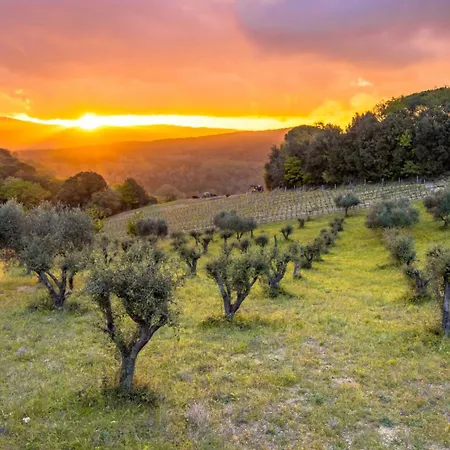 Edera Lägenhet San Gimignano